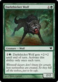 Buy Darkthicket Wolf in AU New Zealand.