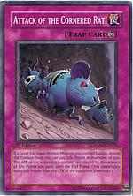 Buy Attack of the Cornered Rat in New Zealand. 