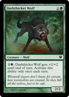 Buy Darkthicket Wolf in New Zealand. 