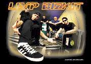 Buy Limp Bizkit Crate Textile Flag in New Zealand. 