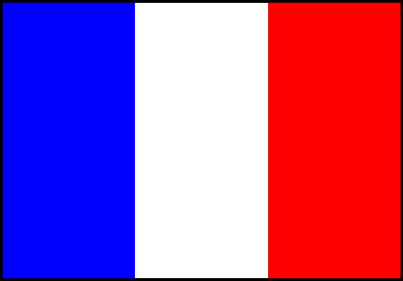 Buy France Flag in New Zealand. 
