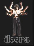 Buy The Doors Poster in New Zealand. 