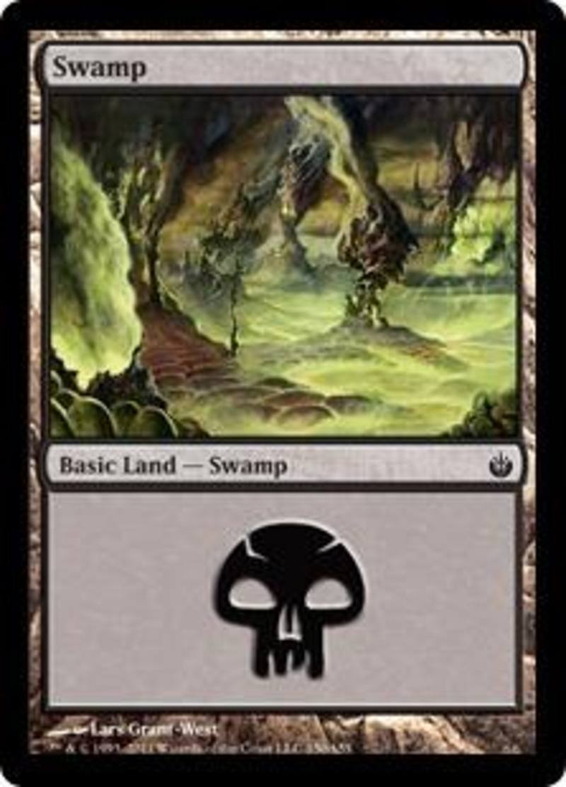 Swamp