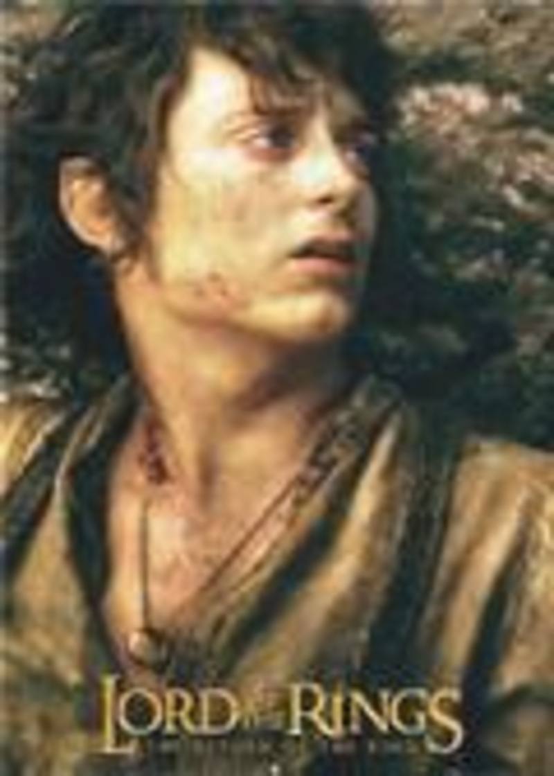 Lord Of The Rings Frodo Poster