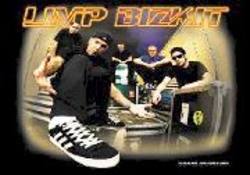 Buy Limp Bizkit Crate Textile Flag in AU New Zealand.