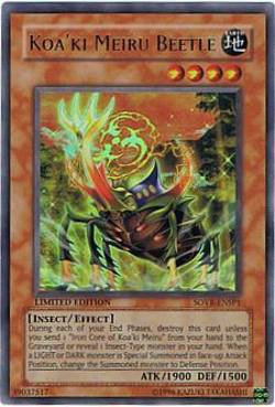 Buy Koa'ki Meiru Beetle in AU New Zealand.