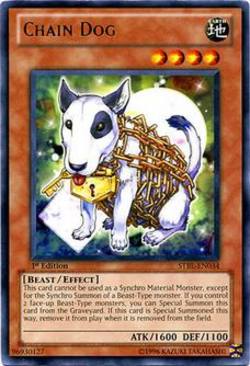 Buy Chain Dog in AU New Zealand.